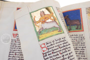 Macht der Gestirne, Heidelberg,Universitätsbibliothek Heidelberg, Cod. Pal. germ. 832 − Photo 17