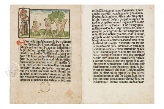 Boner: The Gemstone, Wolfenbüttel, Herzog August Bibliothek, 16. I Eth. 2° − Photo 1