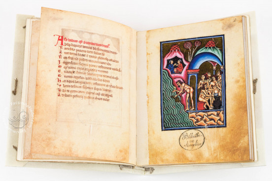 De Balneis Puteolanis, Rome, Biblioteca Angelica, Ms. 1474 − Photo 1