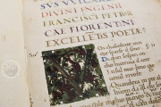 Petrarch's Italian Works, Ms. Casanatense 924 - Biblioteca Casanatense (Rome, Italy) − photo 2