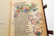 The Acerba, Florence, Biblioteca Medicea Laurenziana, MS Pluteo 40.52 − Photo 15