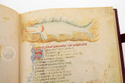 Acerba by Cecco d'Ascoli, Florence, Biblioteca Medicea Laurenziana, Ms Pluteo 40.52 − Photo 22