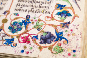 Codex Oliveriano I, Pesaro, Biblioteca Oliveriana, Ms. I − Photo 7