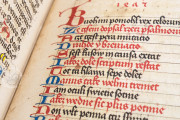 Codex Oliveriano I, Pesaro, Biblioteca Oliveriana, Ms. I − Photo 10