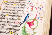 Codex Oliveriano I, Pesaro, Biblioteca Oliveriana, Ms. I − Photo 20