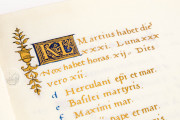 Book of Hours of Margaret of Austria and Alessandro de' Medici, Rome, Biblioteca dell'Accademia Nazionale dei Lincei e Corsiniana, ms. 55.K.16 (Cors. 1232) − Photo 12