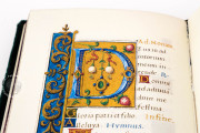Book of Hours of Margaret of Austria and Alessandro de' Medici, Rome, Biblioteca dell'Accademia Nazionale dei Lincei e Corsiniana, ms. 55.K.16 (Cors. 1232) − Photo 14