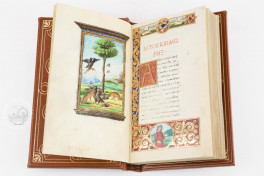 Medici Aesop Facsimile Edition
