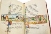 Medici Aesop, New York USA, New York Public Library, MS Spencer 50 Private Collection − Photo 9