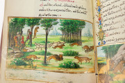Medici Aesop, New York USA, New York Public Library, MS Spencer 50 Private Collection − Photo 11