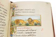 Medici Aesop, New York USA, New York Public Library, MS Spencer 50 Private Collection − Photo 13