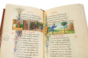 Medici Aesop, New York USA, New York Public Library, MS Spencer 50 Private Collection − Photo 16