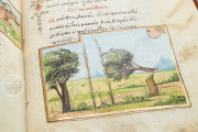 Medici Aesop, New York USA, New York Public Library, MS Spencer 50 Private Collection − Photo 18
