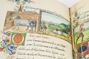 Medici Aesop, New York USA, New York Public Library, MS Spencer 50 Private Collection − Photo 25
