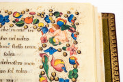 Accademia Petrarch, Rome, Biblioteca dell'Accademia Nazionale dei Lincei e Corsiniana, MS 55.K.10 − Photo 11