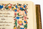 Francesco Petrarca. Trionfi, Rome, Biblioteca dell'Accademia Nazionale dei Lincei e Corsiniana, 55.K.10 (Cors. 1081) − Photo 11