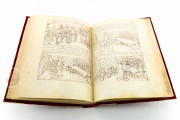 Tavola Ritonda, ms. Palatino 556 - Biblioteca Nazionale Centrale (Florence, Italy) − photo 19