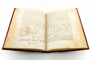 Tavola Ritonda, ms. Palatino 556 - Biblioteca Nazionale Centrale (Florence, Italy) − photo 23