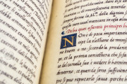 The Prince by Niccolò Machiavelli, Vatican City, Biblioteca Apostolica Vaticana, Barberiniano latino 5093 − Photo 4