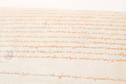 Act of the Court of Cervera, Cervera, Arxiu Comarcal de la Segarra − Photo 3