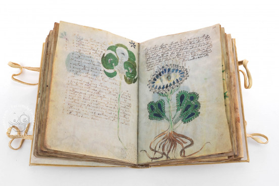 Voynich Manuscript, New Haven, Beinecke Rare Book and Manuscript Library, MS 408 − Photo 1