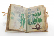 Voynich Manuscript, New Haven, Beinecke Rare Book and Manuscript Library, MS 408 − Photo 4