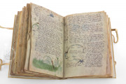 Voynich Manuscript, New Haven, Beinecke Rare Book and Manuscript Library, MS 408 − Photo 8