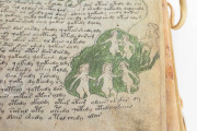 Voynich Manuscript, New Haven, Beinecke Rare Book and Manuscript Library, MS 408 − Photo 24