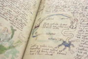 Voynich Manuscript, New Haven, Beinecke Rare Book and Manuscript Library, MS 408 − Photo 25