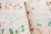 Voynich Manuscript, New Haven, Beinecke Rare Book and Manuscript Library, MS 408 − Photo 26