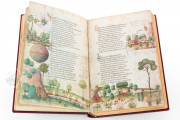 Petrarca Queriniano, Brescia, Biblioteca Queriniana, Inc. G V 15 − Photo 5