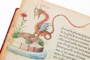 Petrarca Queriniano, Brescia, Biblioteca Queriniana, Inc. G V 15 − Photo 7