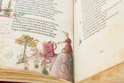 Petrarca Queriniano, Brescia, Biblioteca Queriniana, Inc. G V 15 − Photo 9