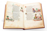 Petrarca Queriniano, Brescia, Biblioteca Queriniana, Inc. G V 15 − Photo 10
