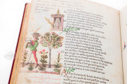 Petrarca Queriniano, Brescia, Biblioteca Queriniana, Inc. G V 15 − Photo 11