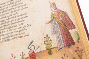 Petrarca Queriniano, Brescia, Biblioteca Queriniana, Inc. G V 15 − Photo 12