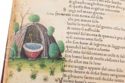 Petrarca Queriniano, Brescia, Biblioteca Queriniana, Inc. G V 15 − Photo 16