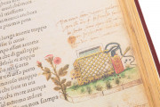 Petrarca Queriniano, Brescia, Biblioteca Queriniana, Inc. G V 15 − Photo 17