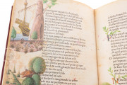 Petrarca Queriniano, Brescia, Biblioteca Queriniana, Inc. G V 15 − Photo 18