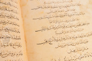 Maqamat Al-Hariri, Paris, Bibliothèque Nationale de France, ms. arabe 5847 − Photo 9