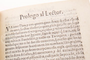 Don Quixote de la Mancha. Editio Princeps, Toledo, Biblioteca del Cigarral del Carmen, KR1378 − Photo 8