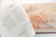 Dante Historiato da Federigo Zuccaro, Florence, Gabinetto Disegni e Stampe degli Uffizi − Photo 11