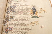 Ellesmere Chaucer, San Marino, Huntington Library, Art Collections, and Botanical Gardens, EL 26 C 9 − Photo 7