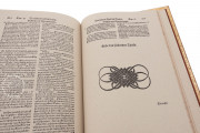 Artzney Book of Christoph Wirsung, Vatican City, Biblioteca Apostolica Vaticana, MS Stamp. Pal. II. 491 − Photo 3