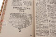 Artzney Book of Christoph Wirsung, Vatican City, Biblioteca Apostolica Vaticana, MS Stamp. Pal. II. 491 − Photo 4