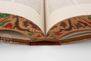 Artzney Book of Christoph Wirsung, Vatican City, Biblioteca Apostolica Vaticana, MS Stamp. Pal. II. 491 − Photo 7