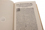 Artzney Book of Christoph Wirsung, Vatican City, Biblioteca Apostolica Vaticana, MS Stamp. Pal. II. 491 − Photo 8