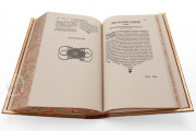 Artzney Book of Christoph Wirsung, Vatican City, Biblioteca Apostolica Vaticana, MS Stamp. Pal. II. 491 − Photo 11