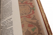 Artzney Book of Christoph Wirsung, Vatican City, Biblioteca Apostolica Vaticana, MS Stamp. Pal. II. 491 − Photo 14