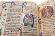 Breviary of Martin of Aragon, Paris, Bibliothèque nationale de France, MS Rothschild 2529 − Photo 18